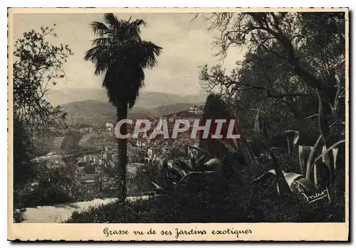 Cartes postales moderne Grasse vu de ses jardin exotiques