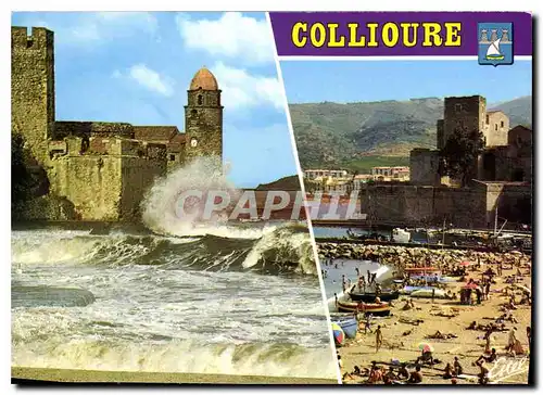 Cartes postales moderne La Cote Vermeille Collioure Pyrenees Orientales