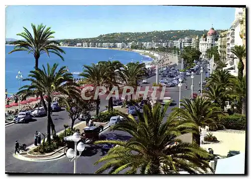 Cartes postales moderne La Cote d'Azur Nice La Promenade des Anglais