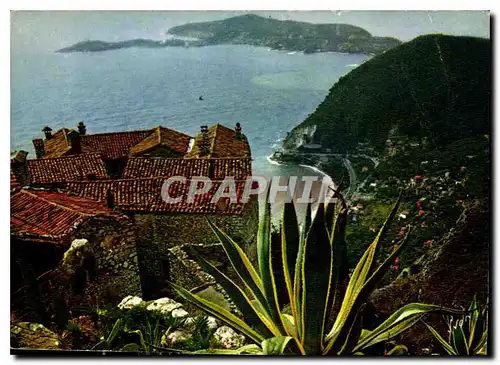 Cartes postales moderne Couleurs et Lumiere de France La Cote d'Azur miracle de la nature Eze Alpes Maritimes Du jardin