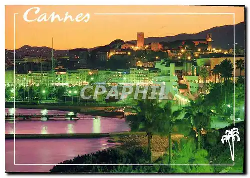 Cartes postales moderne La Cote d'Azur French Riviera Cannes Le Palais du Festival