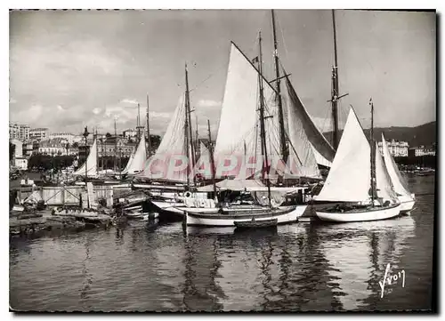 Cartes postales moderne Cannes Alpes Maritimes Voiliers au port