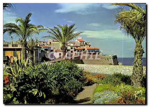 Cartes postales moderne Couleurs et Lumiere de France La Cote d'Azur miracle de la Nature Antibes Alpes Maritimes Les Re