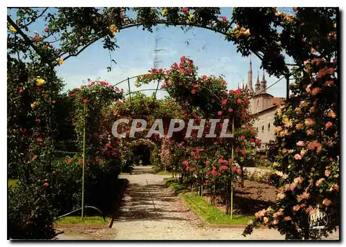 Moderne Karte La Cote d'Azur Nice Le Jardin du Monastere de Cimiez