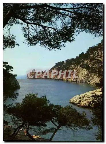 Cartes postales moderne Lumiere et Beaute de la Cote d'Azur