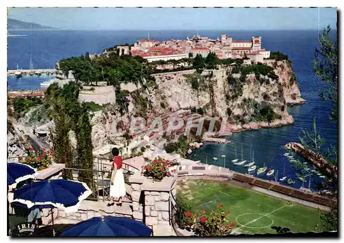 Cartes postales moderne Reflets de la Cote d'Azur Le Rocher de Monaco vu du Jardin Exotique