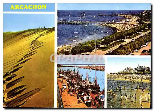 Cartes postales moderne Couleurs et Lumiere de France Baie d'Arcachon Gironde