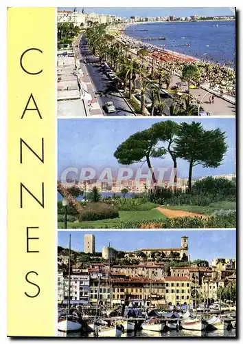 Cartes postales moderne Cannes Souvenir de Cannes