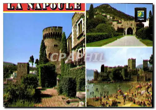 Cartes postales moderne Souvenir de la Napoule