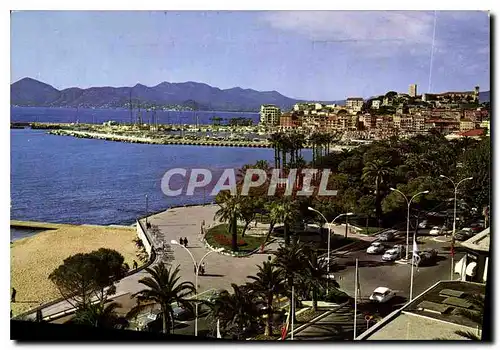 Moderne Karte Cannes Une partie des Jardins le Suquet le Port dans le fond l'Esterel