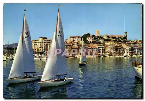 Cartes postales moderne La Cote d'Azur Cannes Le Depart des Regates