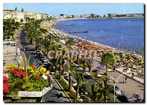 Cartes postales moderne Cannes La Croisette et la Plage