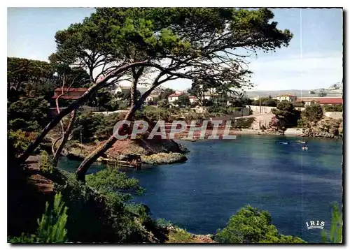 Cartes postales moderne Reflets de Provence La Ciotat Les calanques du Mugel