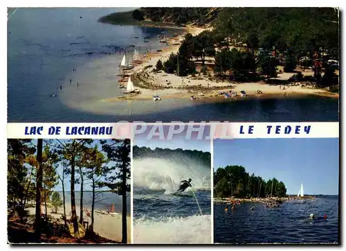 Cartes postales moderne Cote Aquitaine Lac de Lacanau Gironde Le camping du Tedey Son caime sa plage sa foret Ski nautiq