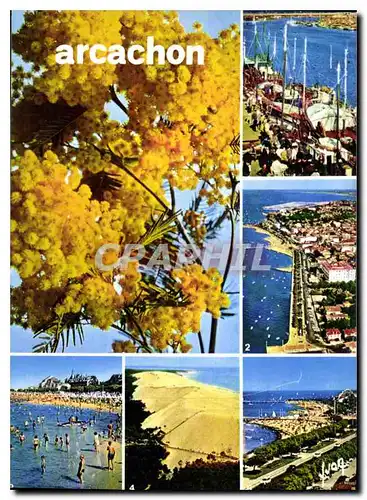 Cartes postales moderne Couleurs et Lumiere de France Bassin d'Arcachon Gironde