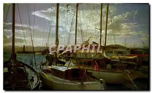 Cartes postales moderne Mediterrabee aux rivages sans nuages