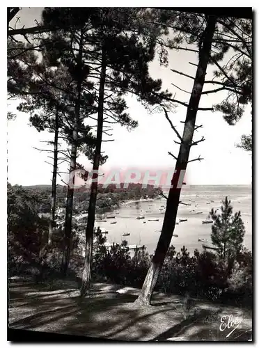 Cartes postales moderne Bassin d'Arcachon Gironde Echappee sur le Bassin