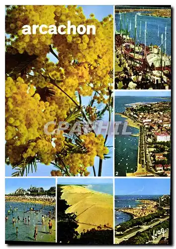 Cartes postales moderne Baie d'Arcachon Girond le Port de Peche le Fron de Mer la Plage la Dune du Pilat la Plage et les