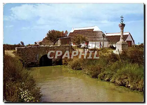 Moderne Karte En Camargue Bouches du Rhone le Pont du Mart la Croix des Gardians