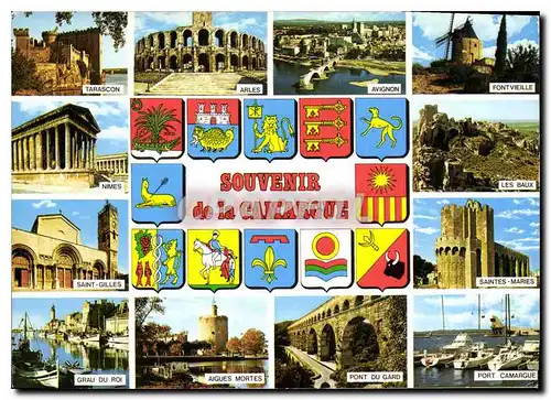 Cartes postales moderne Souvenir de la Camargue