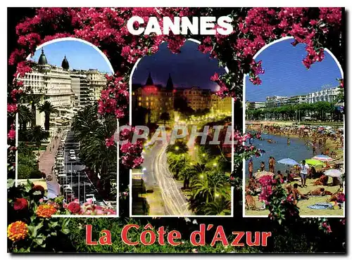 Cartes postales moderne Cote d'Azur Cannes