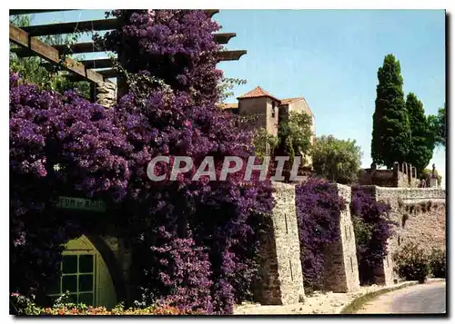 Cartes postales moderne Cote d'Azur Pittoresque