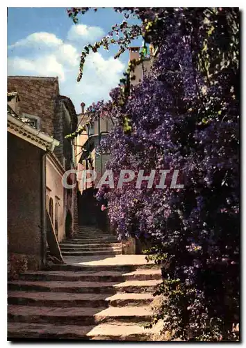 Cartes postales moderne La Cote d'Azur Bormes les Mimosas Var Escalier Fleuri