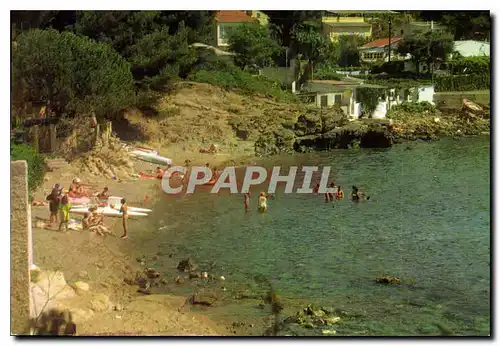 Cartes postales moderne La Cote d'Azur inoubliable Carqueiranne les beaux Rouges