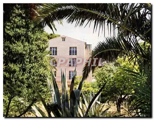 Cartes postales moderne La Rose de Noel Centre de Convalescence specialise Carqueiranne