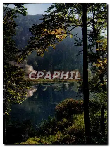 Cartes postales moderne Les Vosges Pittoresque Lac de Retournemer
