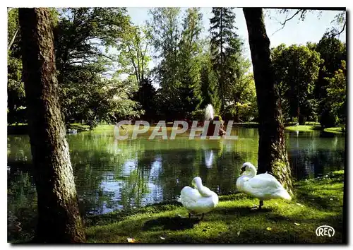 Cartes postales moderne Chateauroux Indre le Lac du Jardin public