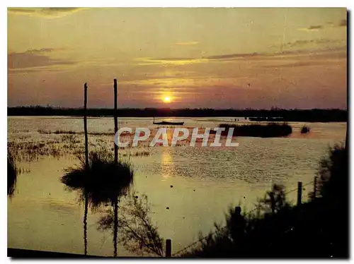 Cartes postales moderne Coucher de Soleil sur la Camargue