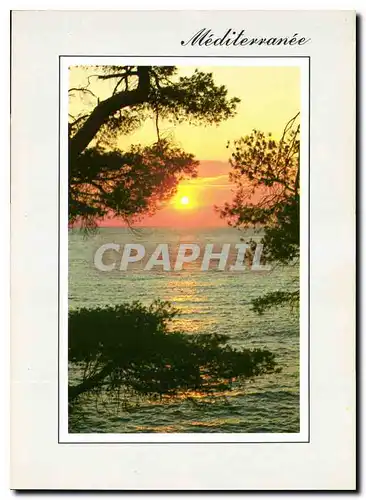 Cartes postales moderne Coucher de Soleil en Mediterranee