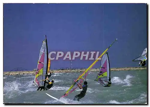 Cartes postales moderne La Cote d'Azur dans le Vent le paradis de la Planche a voile Saint Lurent du Var