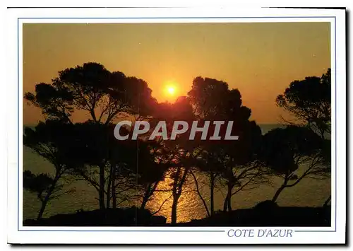 Cartes postales moderne La cote d'Azur Coucher de Soleil en mediterranee