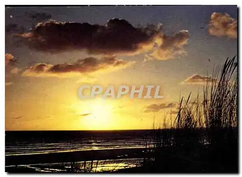 Cartes postales moderne Cote Atlantique Oyats au coucher du Soleil
