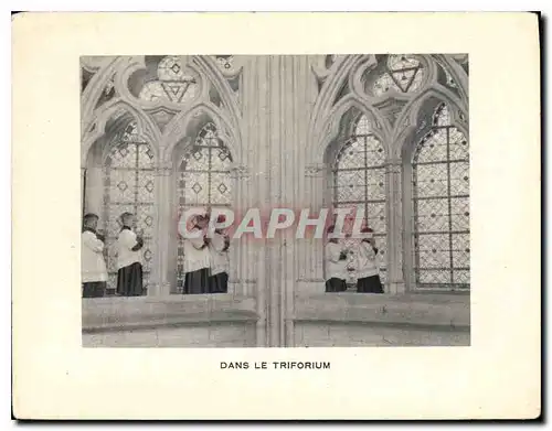 Cartes postales moderne Dans le Triforium