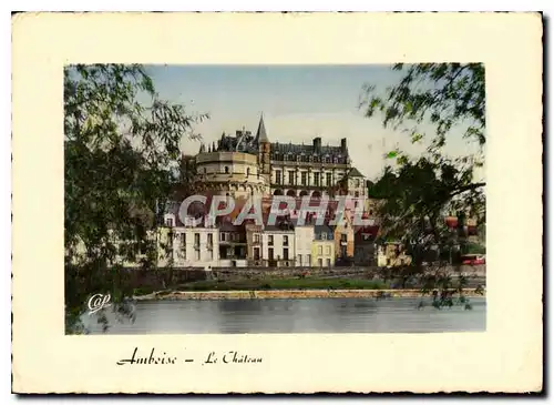 Cartes postales moderne Amboise le Chateau