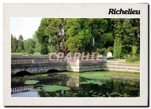 Cartes postales moderne Richelieu I et L Pont du Chateau et jardin