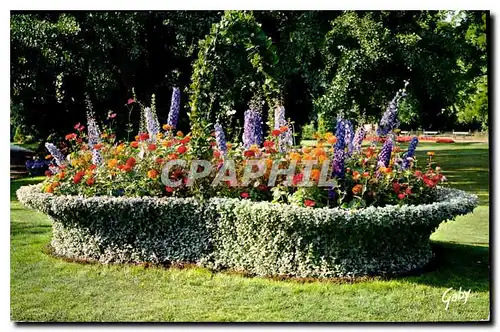 Cartes postales moderne Merveilles du Val de loire Tours I et L Jardin Botanique Le Panier fleuri