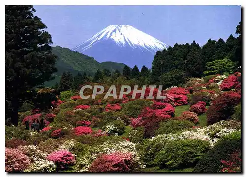 Moderne Karte Mont Fuji en debut du printemps