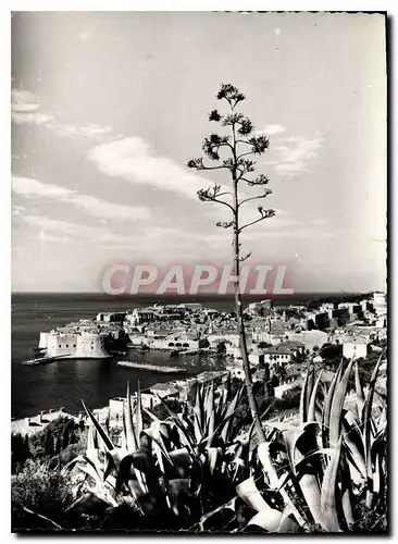 Cartes postales moderne Dubrovnik Panorama