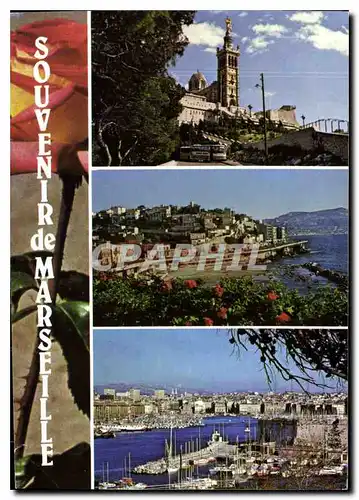 Cartes postales moderne Souvenir de Marseille