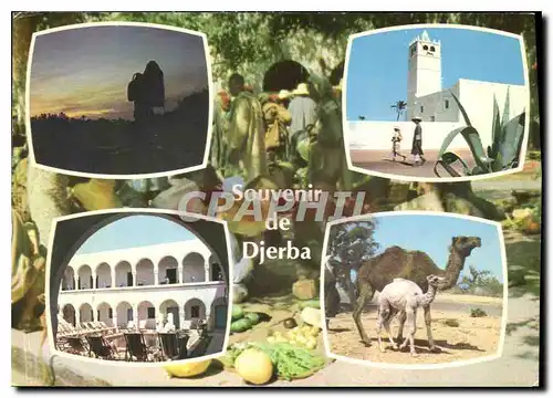 Cartes postales moderne Souvenir de Djerba