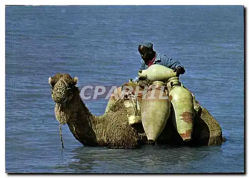 Cartes postales moderne Djerba