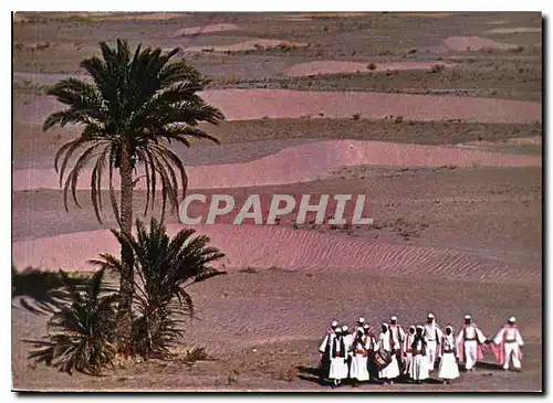 Cartes postales moderne Tunisie danse folklorique dans le desert