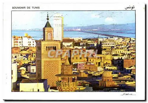 Cartes postales moderne Tunis Musquee Zirouna et Hotel Africa