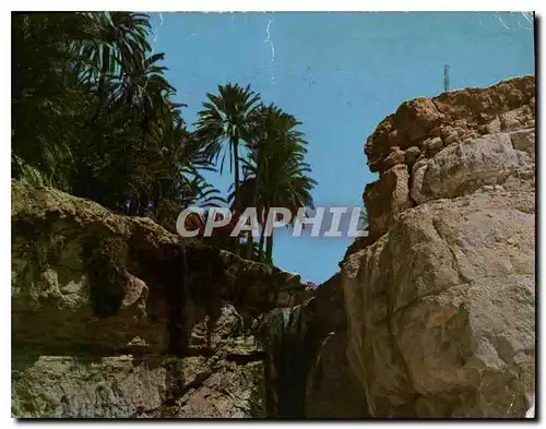 Cartes postales moderne La Cascade Taniera Tunisie