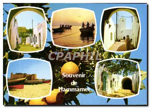 Cartes postales moderne Souvenir de Hammamet