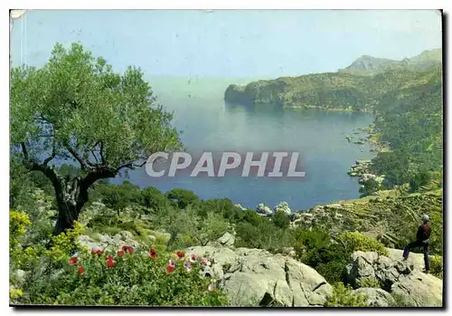 Cartes postales moderne Mallorca baleares Espana Deya vista de la costa